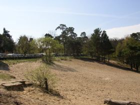 anja,meerschwein,campingplatz,internet 070 (1).jpg